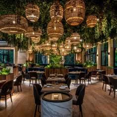 Interior Restoran
